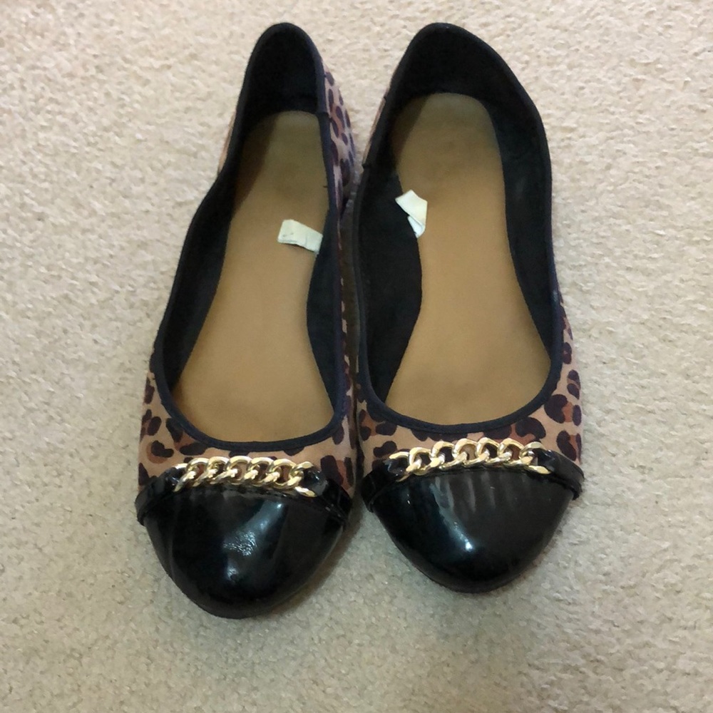 Cheetah Flats